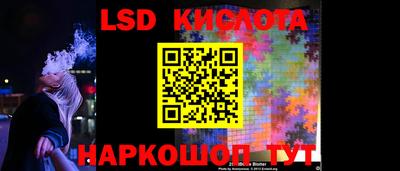 шишки Ивантеевка