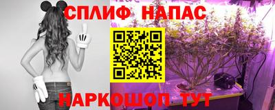 стафф Ижевск