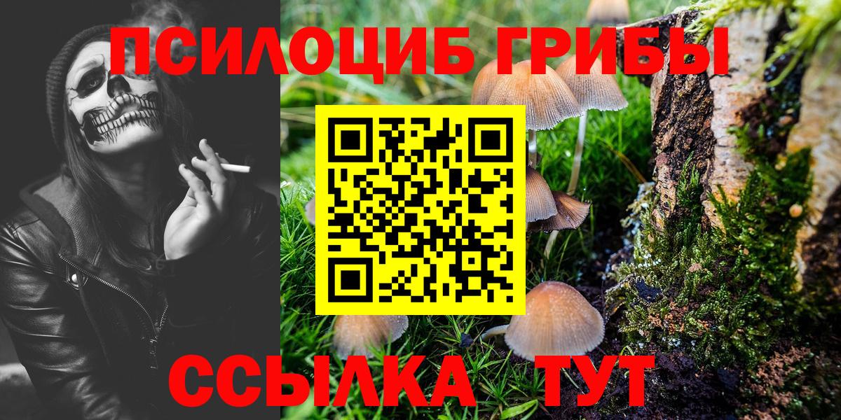 Галлюциногенные грибы Psilocybine cubensis  Вход с VPN  Великие Луки 