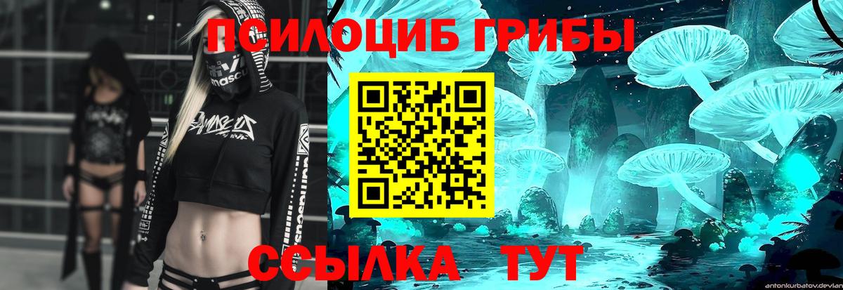 Галлюциногенные грибы Psilocybine cubensis Великие Луки